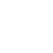 Travel icon